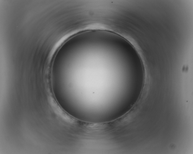 X0000112961008200908271111