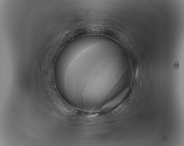 X0000112961009200908271111