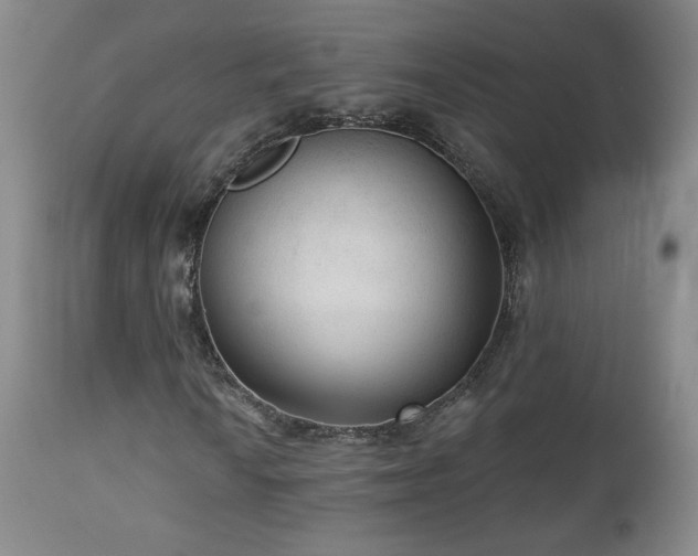 X0000112961010200908271111