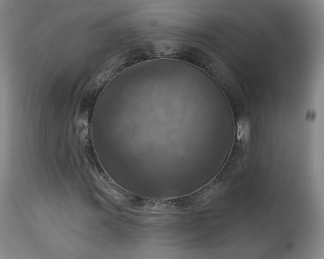 X0000112961011200908271111