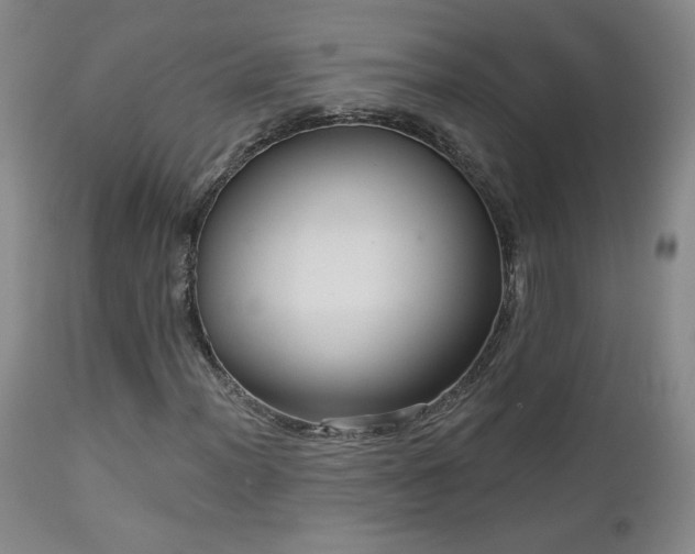 X0000112961012200908271111