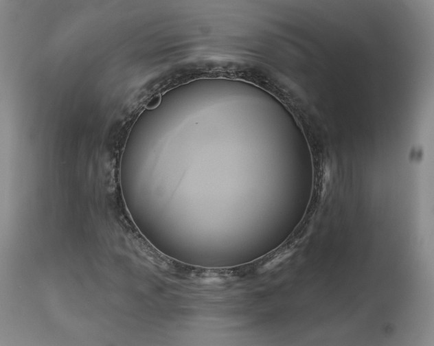 X0000112961013200908271111