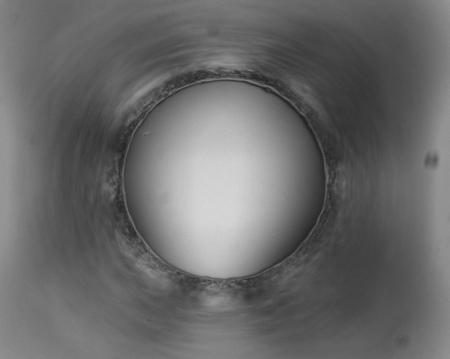 X0000112961015200908271111