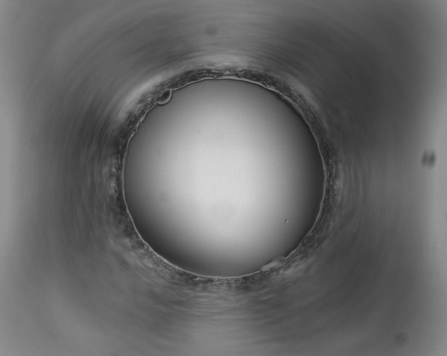 X0000112961016200908271111