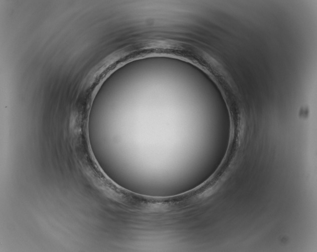 X0000112961017200908271111