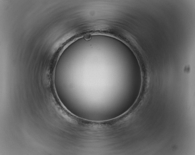 X0000112961018200908271111