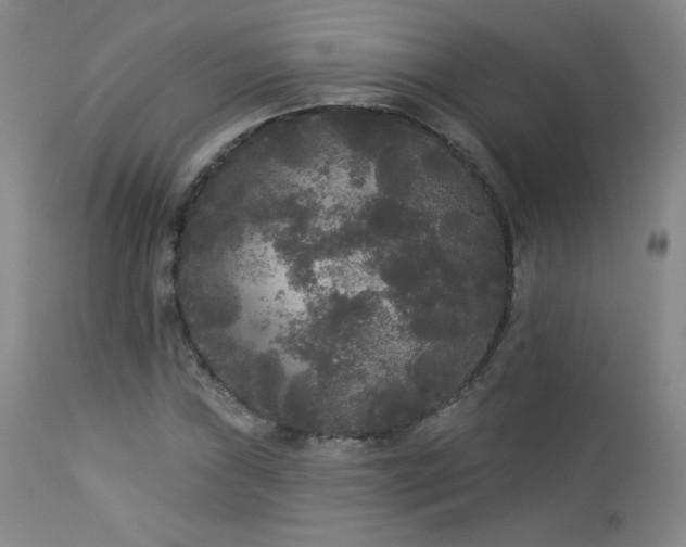 X0000112961019200908271111