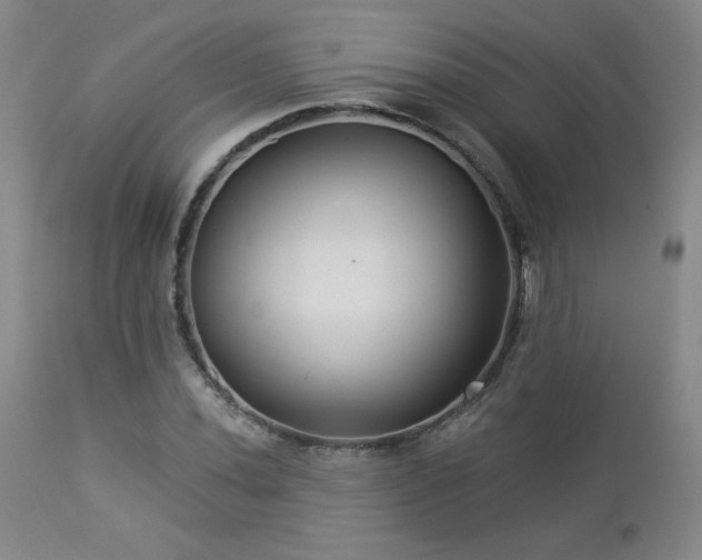 X0000112961020200908271111