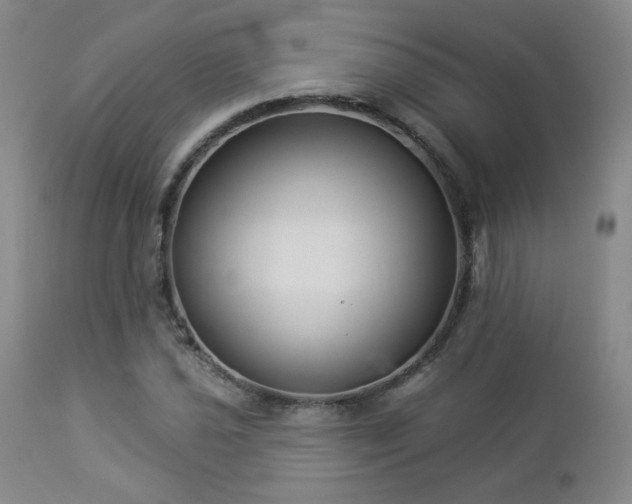 X0000112961021200908271111