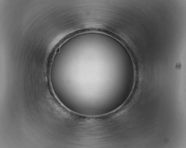 X0000112961022200908271111