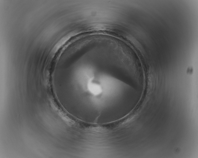 X0000112961023200908271111