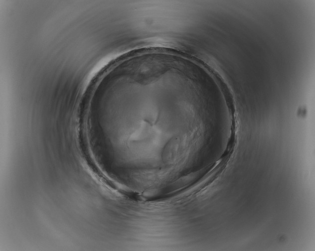 X0000112961024200908271111