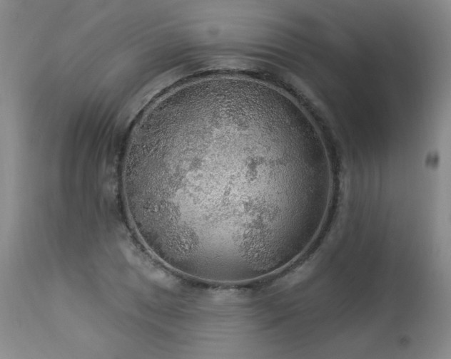 X0000112961025200908271111