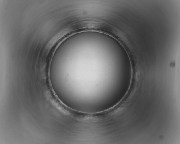 X0000112961026200908271111