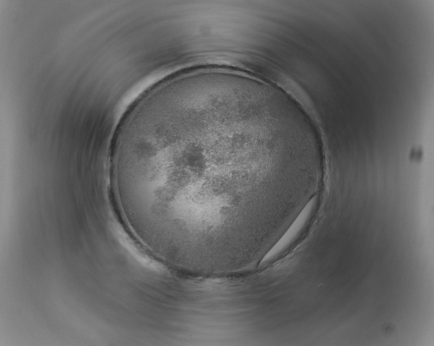 X0000112961028200908271111