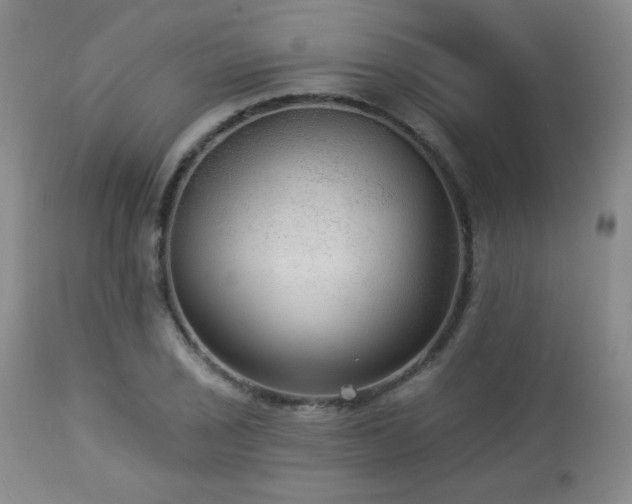 X0000112961029200908271111