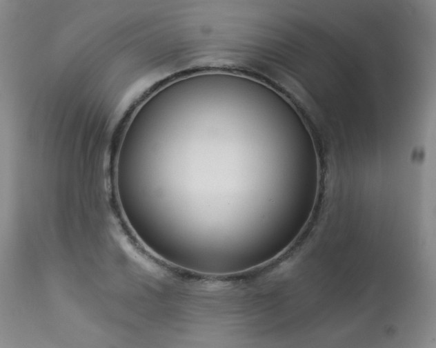 X0000112961030200908271111