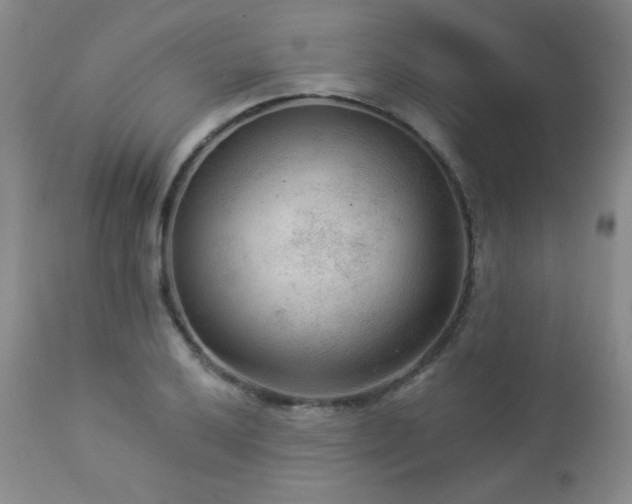 X0000112961032200908271111