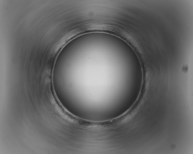 X0000112961033200908271111