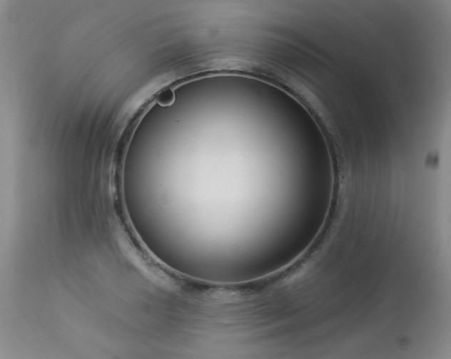 X0000112961034200908271111