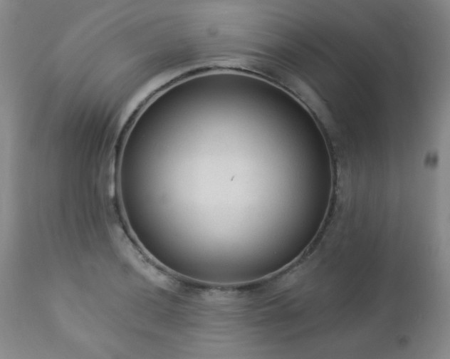 X0000112961036200908271111