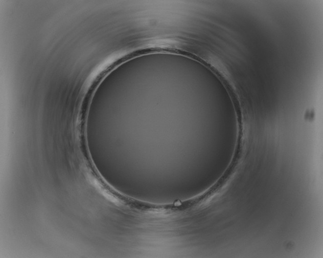 X0000112961037200908271111