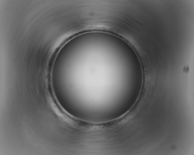 X0000112961038200908271111