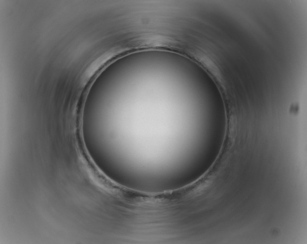 X0000112961039200908271111