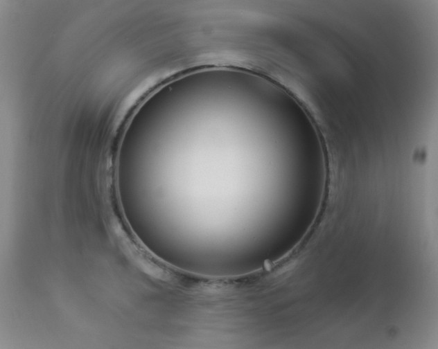 X0000112961040200908271111