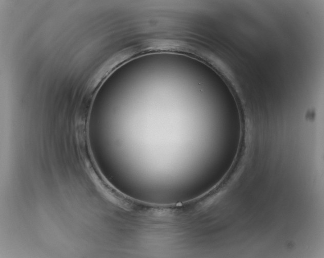 X0000112961041200908271111