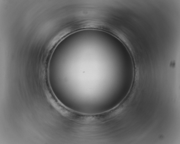 X0000112961042200908271111