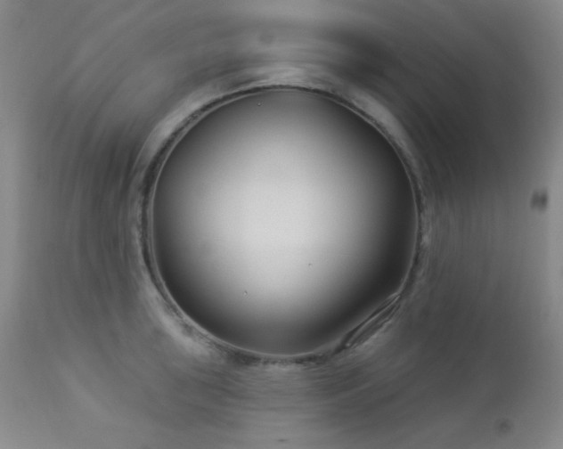 X0000112961043200908271111