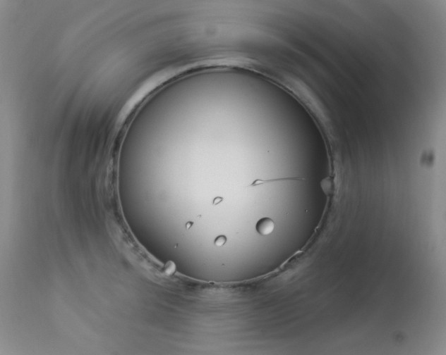 X0000112961044200908271111