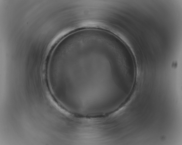 X0000112961045200908271111