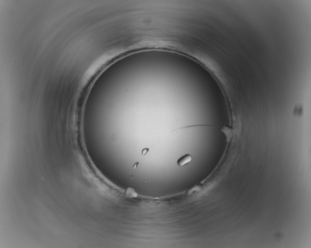 X0000112961046200908271111