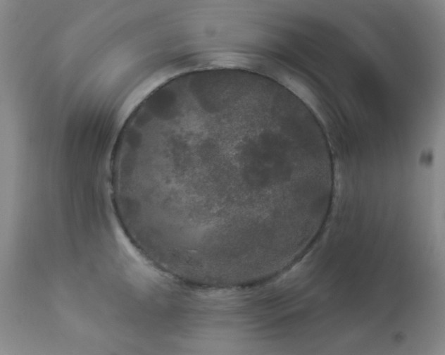 X0000112961047200908271111