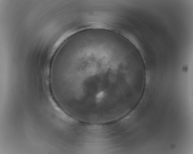 X0000112961048200908271111