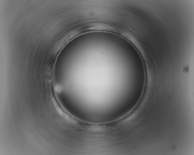 X0000112961049200908271111