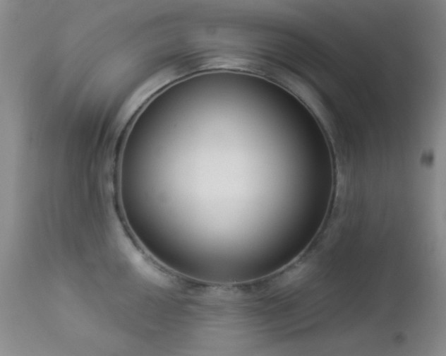 X0000112961050200908271111