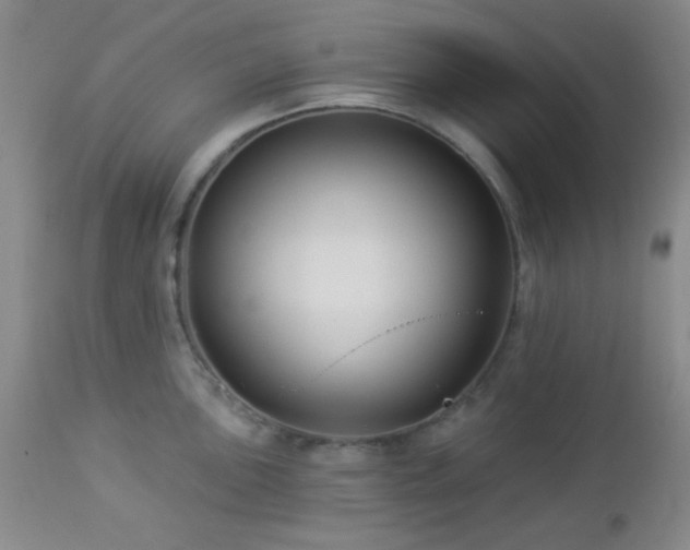 X0000112961051200908271111