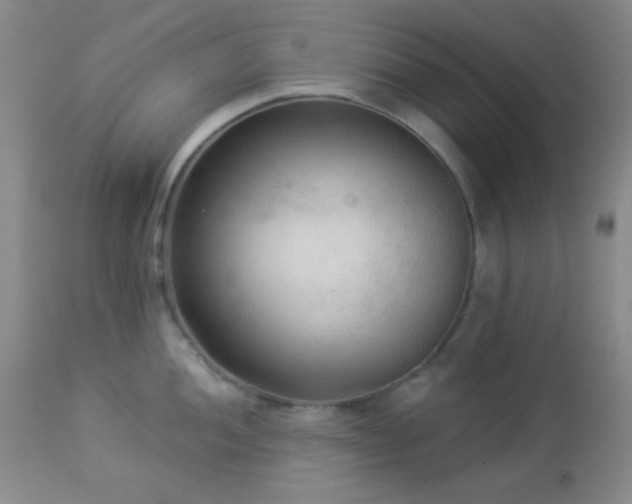 X0000112961052200908271111