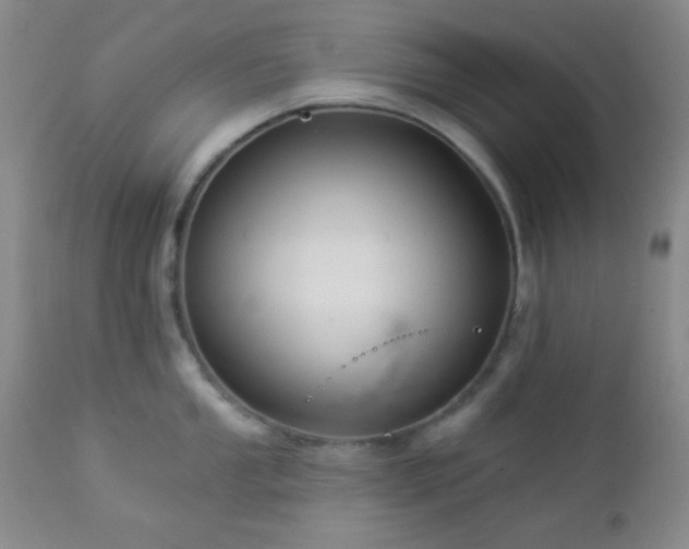 X0000112961053200908271111