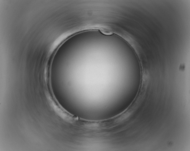 X0000112961054200908271111