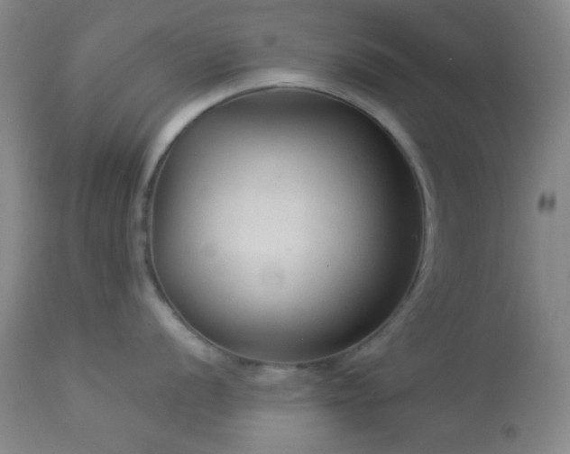 X0000112961056200908271111