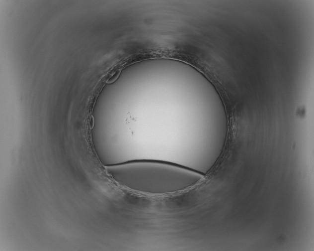 X0000112961057200908271111