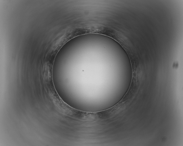 X0000112961058200908271111