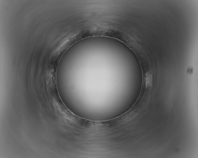 X0000112961059200908271111