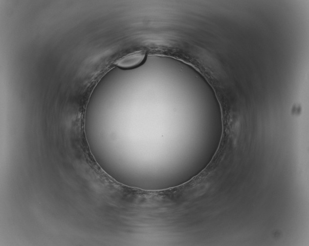 X0000112961061200908271111