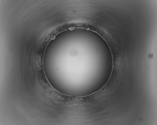 X0000112961062200908271111