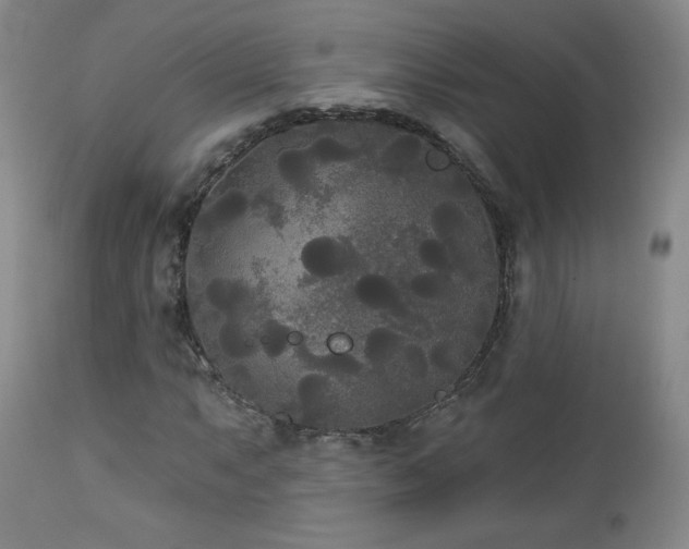 X0000112961063200908271111